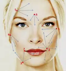 Schéma illustrant les zones du visage pour les traitements esthétiques et anti-âge.